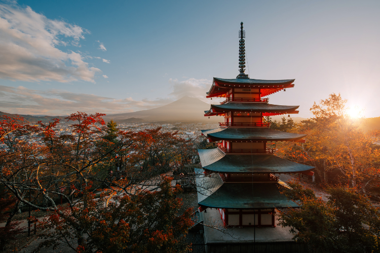 Jouw rondreis naar Japan: